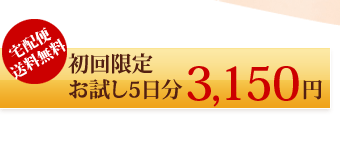 ������/���5��ʬ/3150��/������ ����̵��