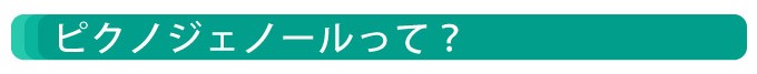 �ԥ��Υ����Ρ���