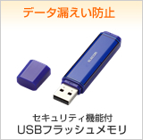 �������ƥ���ǽ��USB�ե�å������