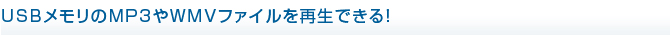 �������ƥ쥪��ʹ���ʤ��鲻�ڥץ졼�䡼���ŤǤ��롣