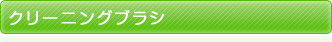 ���꡼�˥󥰥֥饷