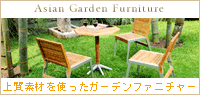 �������󥬡��ǥ�ե��˥��㡼