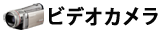 �ӥǥ������