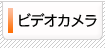 �ӥǥ������