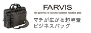 FARVIS