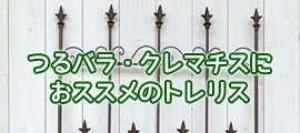 ��褱�ˡ����������󥦥���