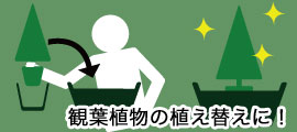 ���ޥꥢ�ҤΥۥ��������å�