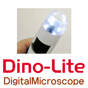 dinolite