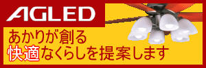 �����ŵ��ý�