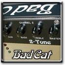 Bad Cat