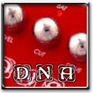 DNA