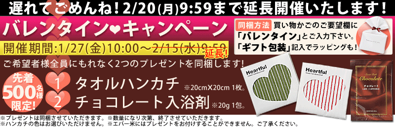 �Х�󥿥��� �����ڡ��� ���Ŵ���:1/27(��)10:00��2/15(��)9:59