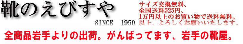 ��ǥ�������󥺡����å����ӥ��ͥ�¾����������·�������� evisuya
