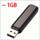 1GB�ʲ�