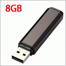 8GB