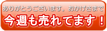ありがとうございます。売れてます。