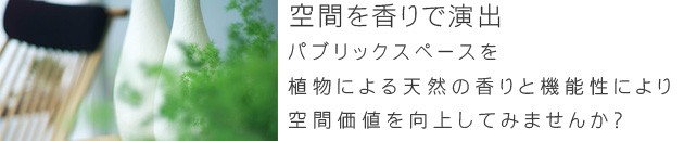 �����ޤǶ��ֱ��