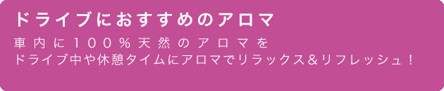 �ɥ饤�֤ˤ�������Υ�����