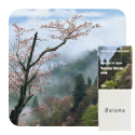 �����ޥ����롡�ܥ��˥��륨��������ѥ󡡵����ءʥҥΥ��� 10ml