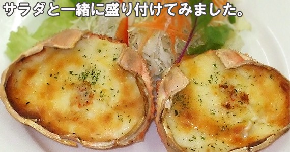 ���˥��饿�������դ���
