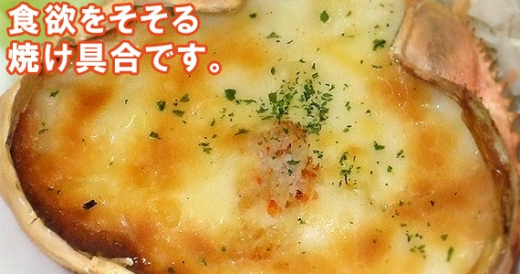 ���˥��饿��