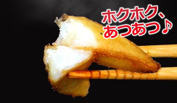 �ݥƥ� �ե饤�ɥݥƥ�