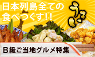 �ͥåȥ����ѡ�FB���ꥨ����B�餴����