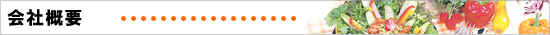 ��ҳ���