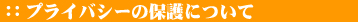 �ץ饤�Х������ݸ�ˤĤ���