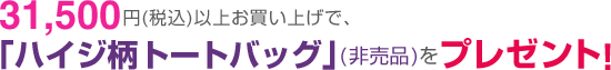 31,500��(�ǹ�)���㤤�夲�ǡ��֥ꥢ���������ȡ��ȥХå���(������)��ץ쥼���!