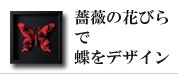 �����ȥե졼��(3)��Butterfly
