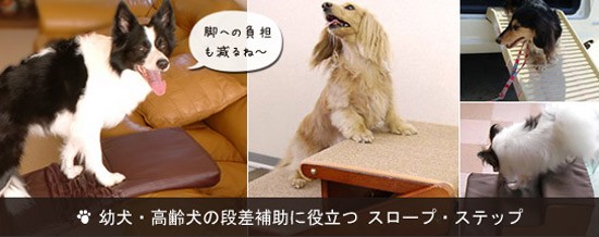 �ĸ������𸤤��ʺ��������Ω�ĥ������ס����ƥå�