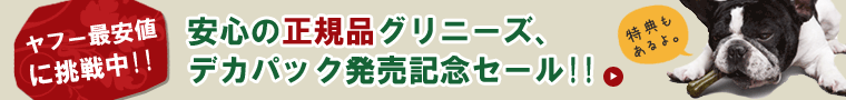 �����ʥ���ˡ��������̥ѥå�ȯ�䵭ǰ�����롪