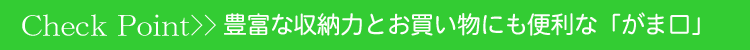 ���ӥ顡�����ɥ�����ǥ���������