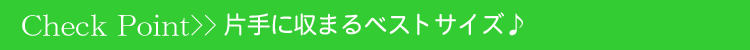 ���ӥ顡�����ɥ�����ǥ���������