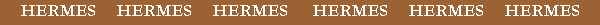 ����᥹ HERMES�λ���