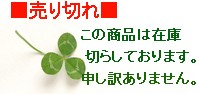 売り切れました。