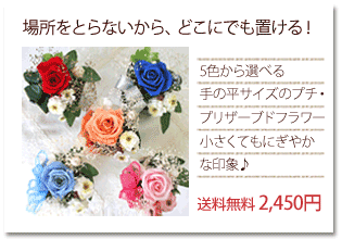 ���ʿ�ˤΤ륵�����Τ��襤���ץꥶ���֥ɥե�