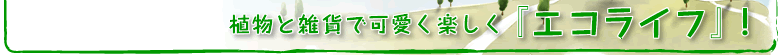 ��ʪ�Ȼ��ߤǲİ����ڤ����إ����饤�ա١�
