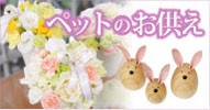 �ڥåȤΤ���������󥸥���