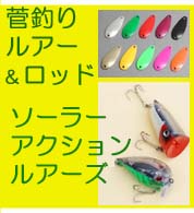 �����顼���������LURES������
