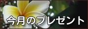 ����Υץ쥼��Ȣ�