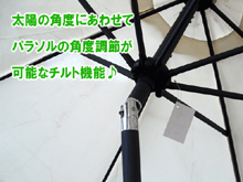 �����ǥ�ѥ饽�����Ƥޤ���