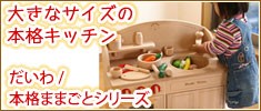�礭�᥵�������ܳʥ��å���