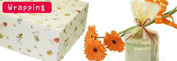 ���եȥ�åԥ󥰤ˤĤ���