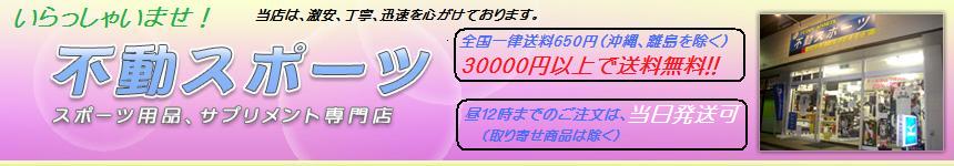 ��ư���ݡ���