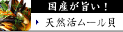 �ࡼ�볭