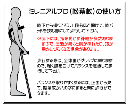 �ޤꤿ���߾��վ� �ߥ�˥��� �ץ� �Ȥ���������