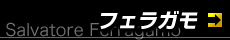 �ե��饬��