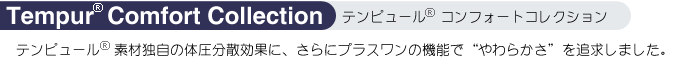 �ƥ�ԥ塼�륳��ե����ȥ��쥯�����